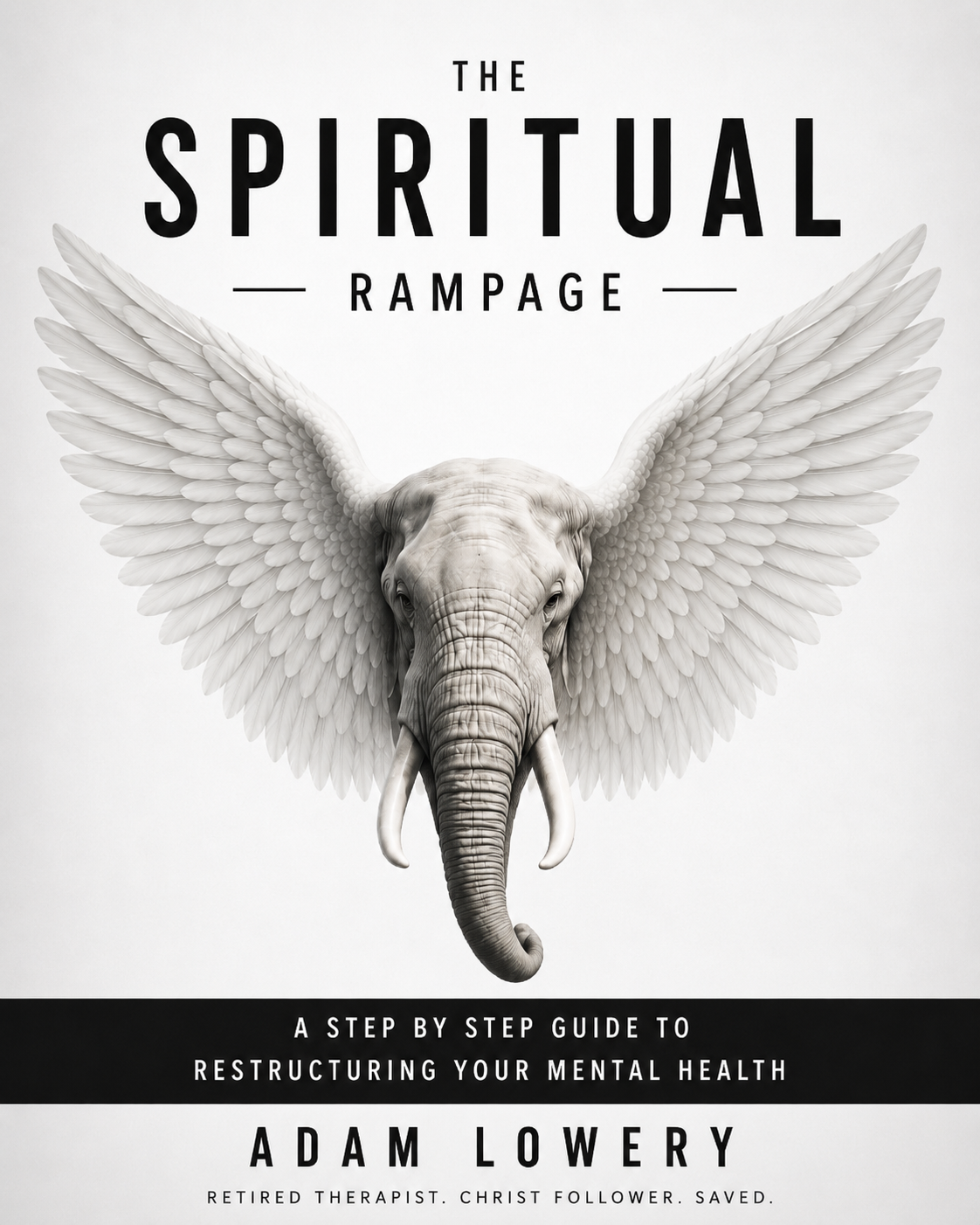 A Spiritual Rampage book cover